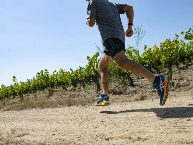 Asics Gel Fujitrabuco 8 8 1024x683 1