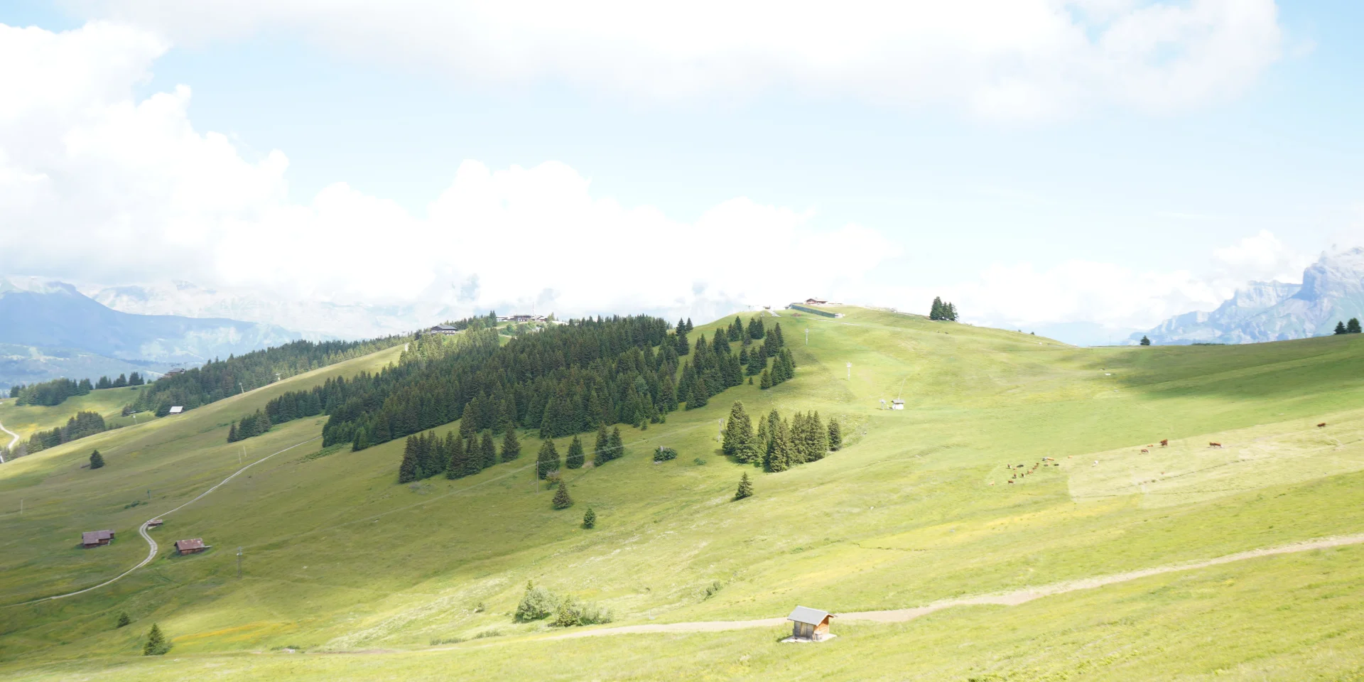 Le Mont d'Arbois