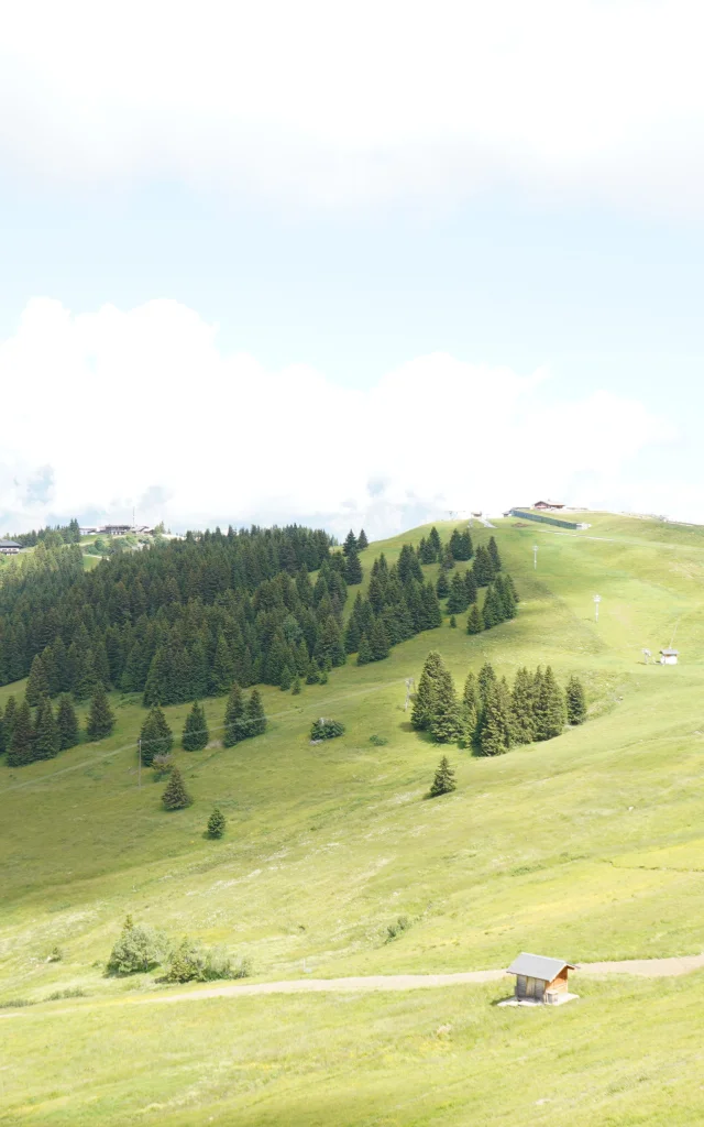 Le Mont d'Arbois