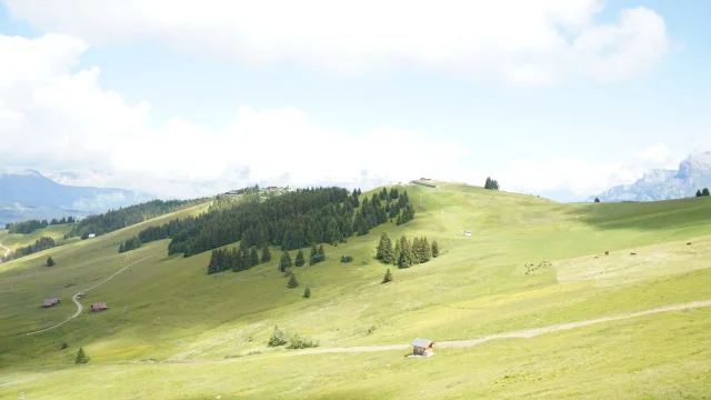 Le Mont d'Arbois