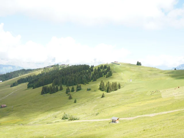 Le Mont d'Arbois