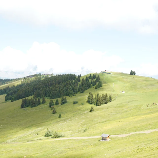 Le Mont d'Arbois