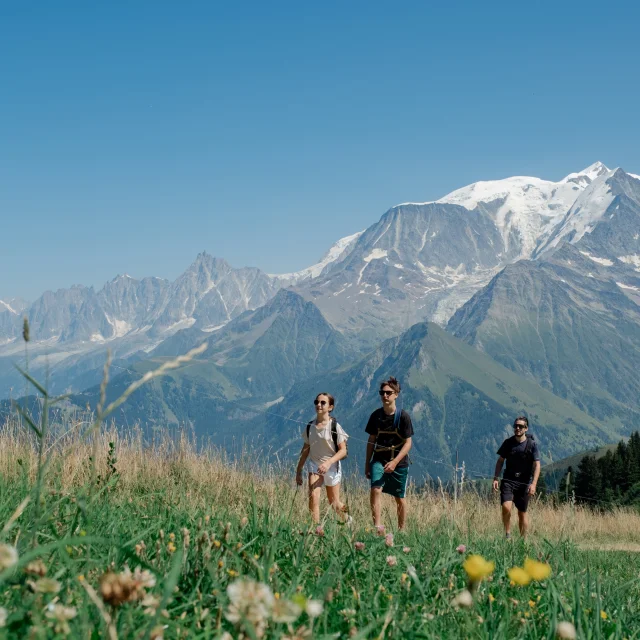 Randonnée en direction du Mont Joux, avec vue sur le Mont-Blanc