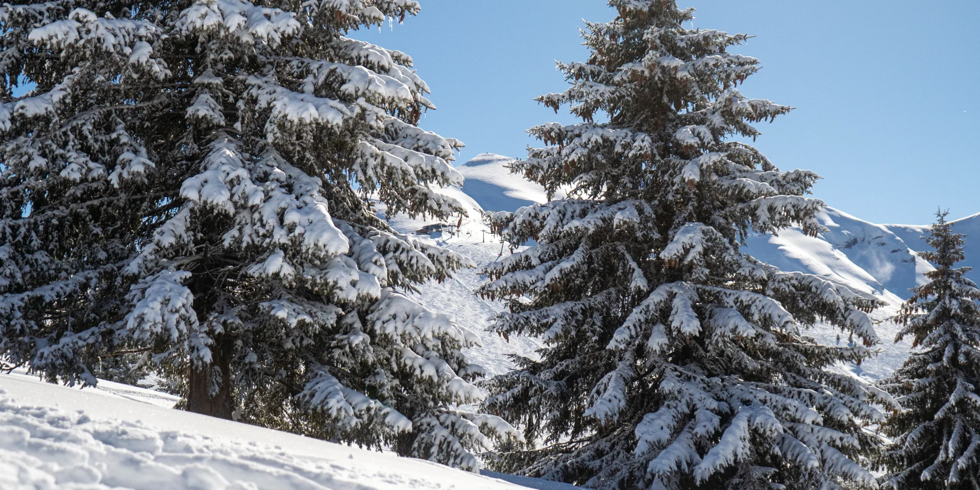 Le domaine skiable du Mont d'Arbois