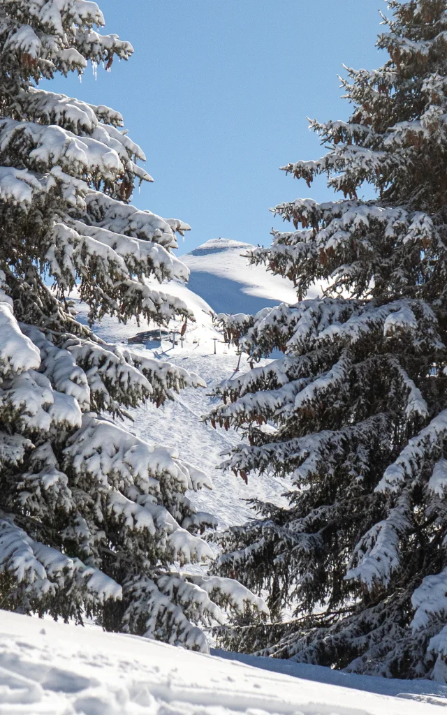 Le domaine skiable du Mont d'Arbois
