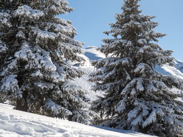 Le domaine skiable du Mont d'Arbois