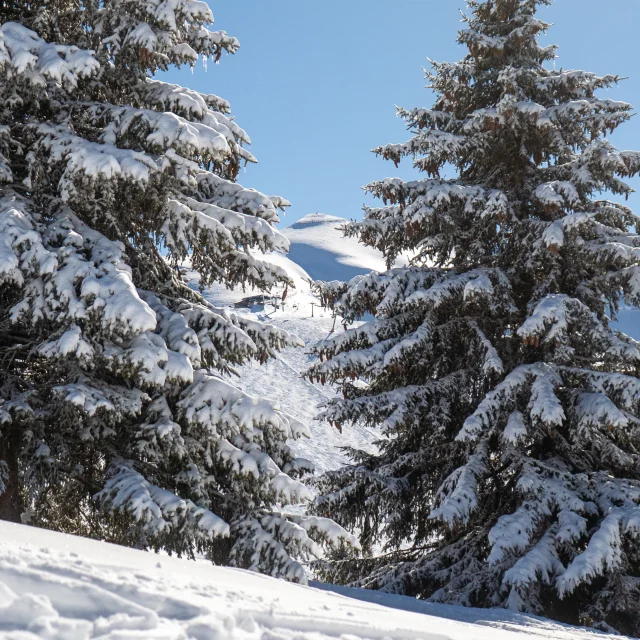 Le domaine skiable du Mont d'Arbois