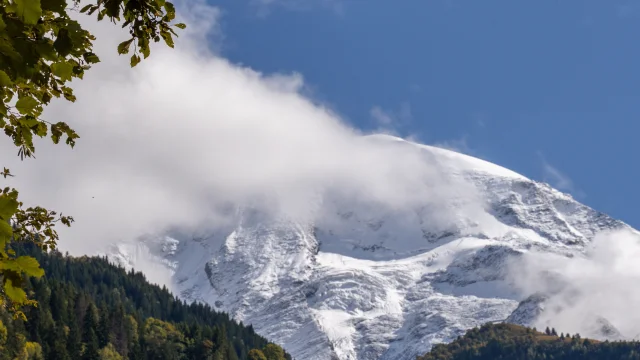 Les dômes de miage soupoudrés durant l'automne