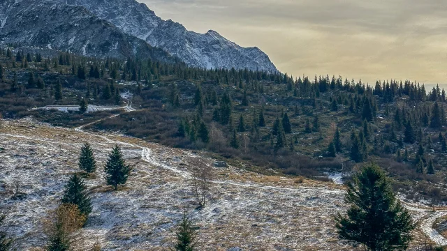 Le plateau du Truc en automne