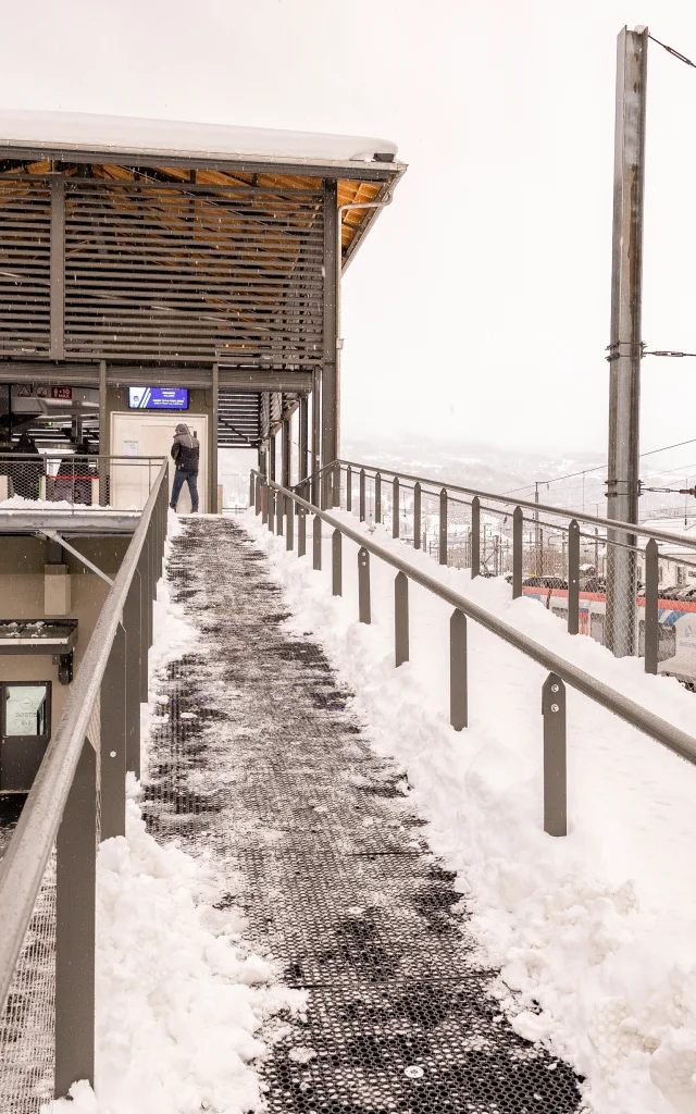 Le valléen, à proximité directe de la gare SNCF du Fayet