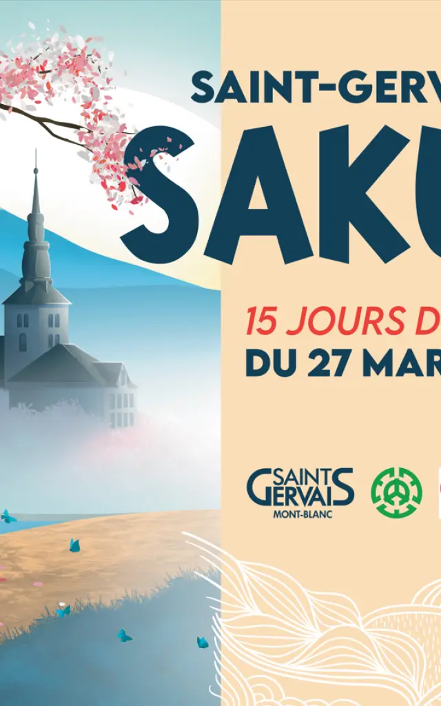 Capture Decran 2026 03 17 170541