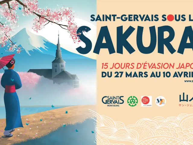 Capture Decran 2026 03 17 170541