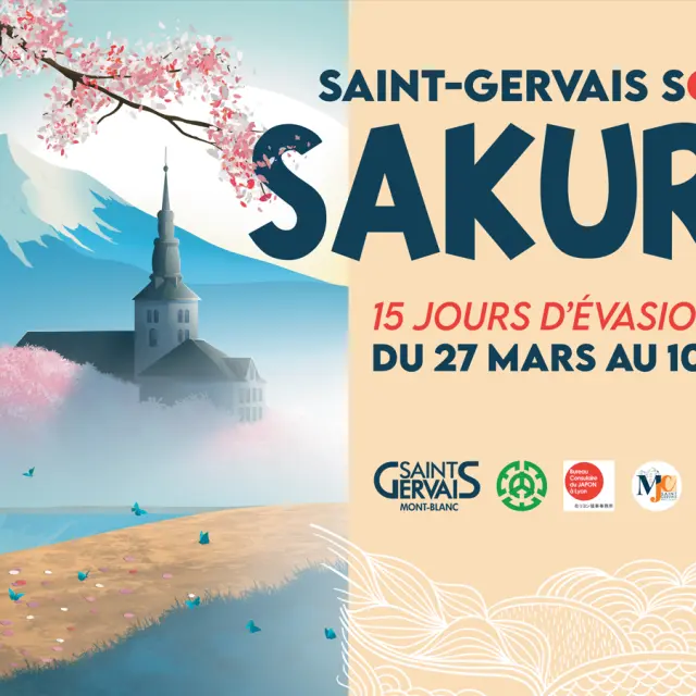 Capture Decran 2026 03 17 170541