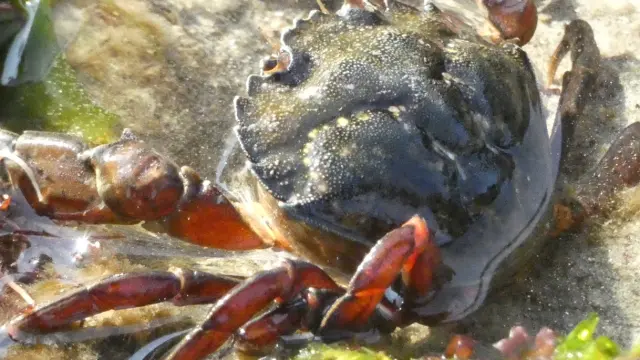 On A Testé Pour Vous Grande Marée