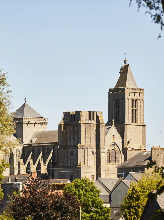 Cathedrale Saint Samson Dol De Bretagne Alexandre Lamoureux 988