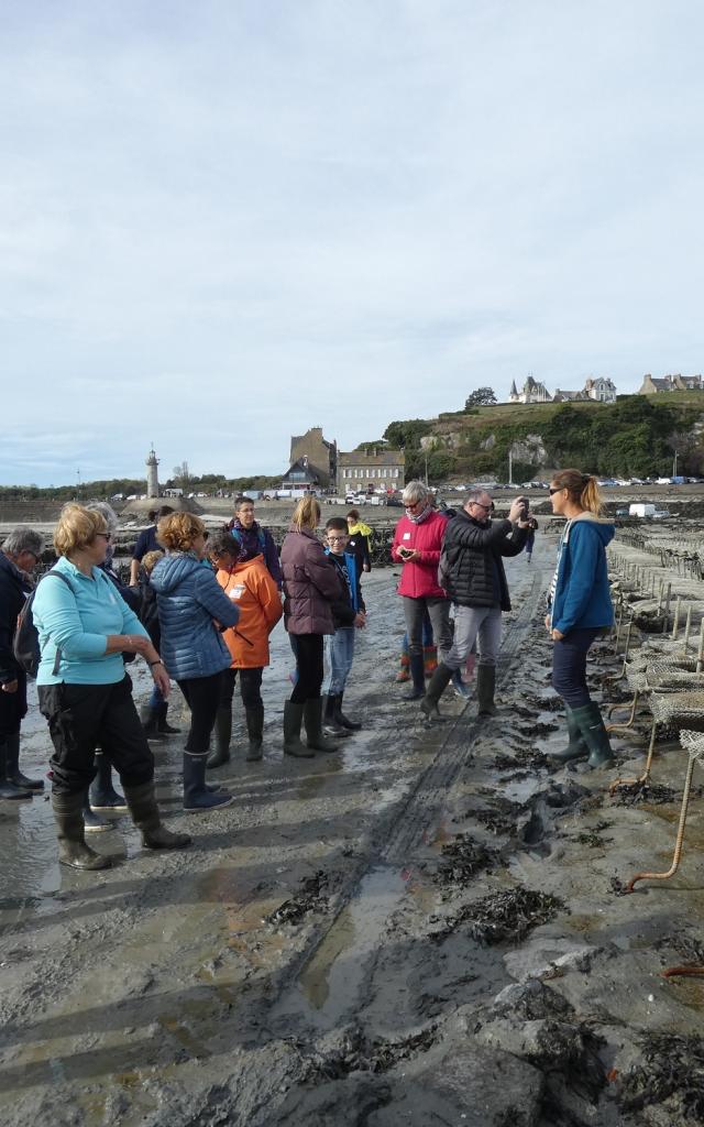 Le Groupe Dans Les Parcs