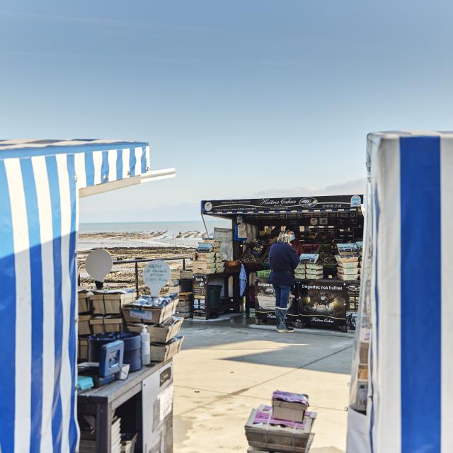 Marche Aux Huitres Port De La Houle Cancale Alexandre Lamoureux 2794