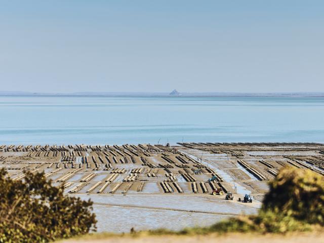 Parcs A Huitres Cancale Alexandre Lamoureux 3002