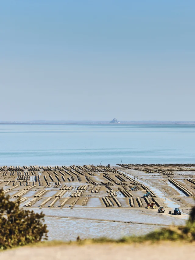 Parcs A Huitres Cancale Alexandre Lamoureux 3002