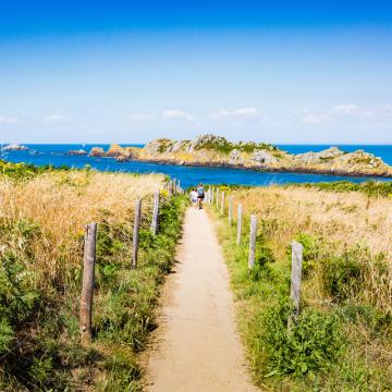 la-pointe-du-grouin-et-son-le-aux-oiseaux-saint-malo-baie-du-mont