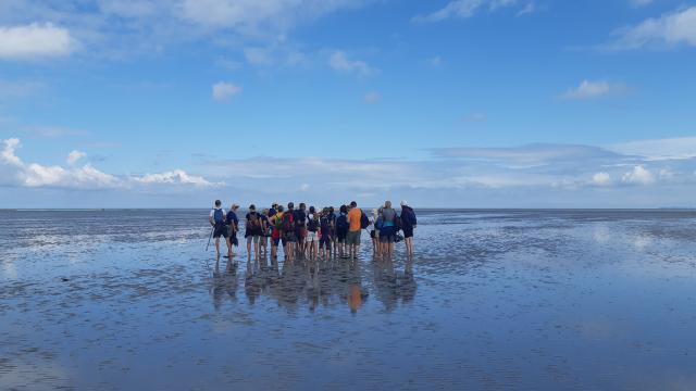 Smbmsm-uitstapje op de Hermelles-bank Mont Saint Michel-baai (3)