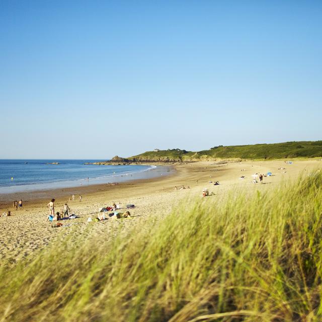 Anse Du Guesclin St Coulomb Alexandre Lamoureux 8594