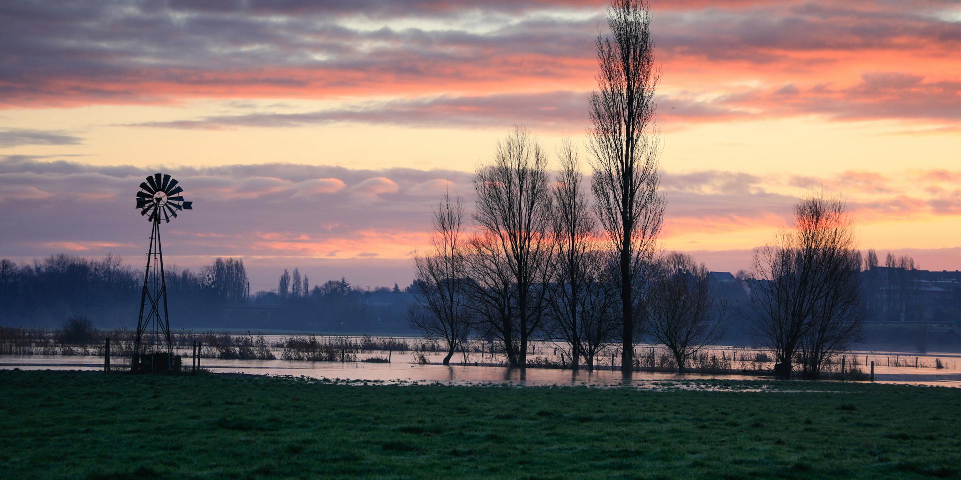 Braley Pierre Couleurs Matinales Imprimee