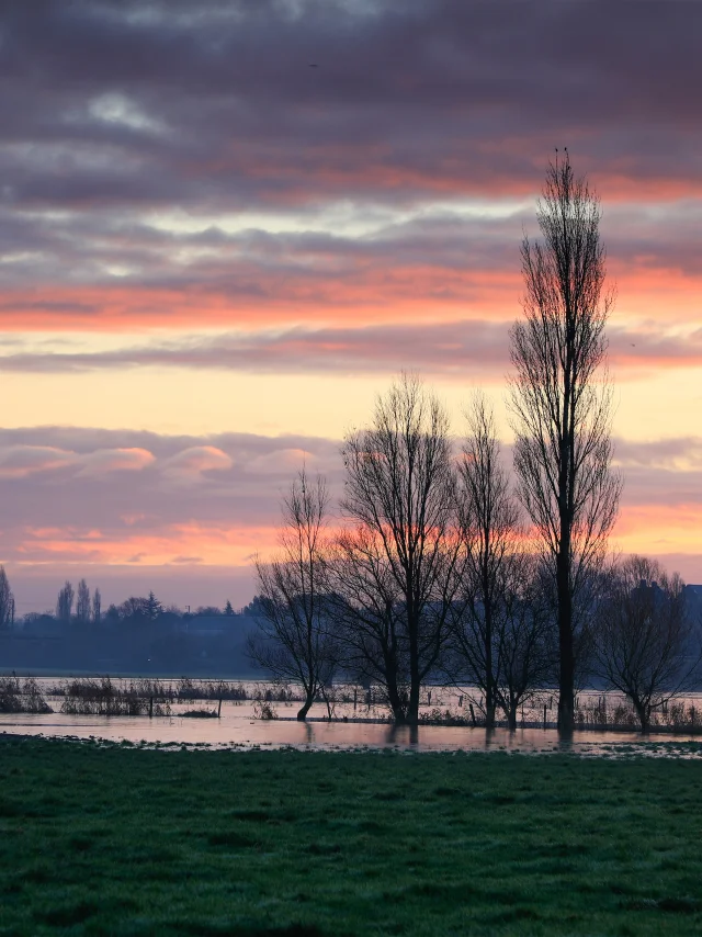 Braley Pierre Couleurs Matinales Imprimee
