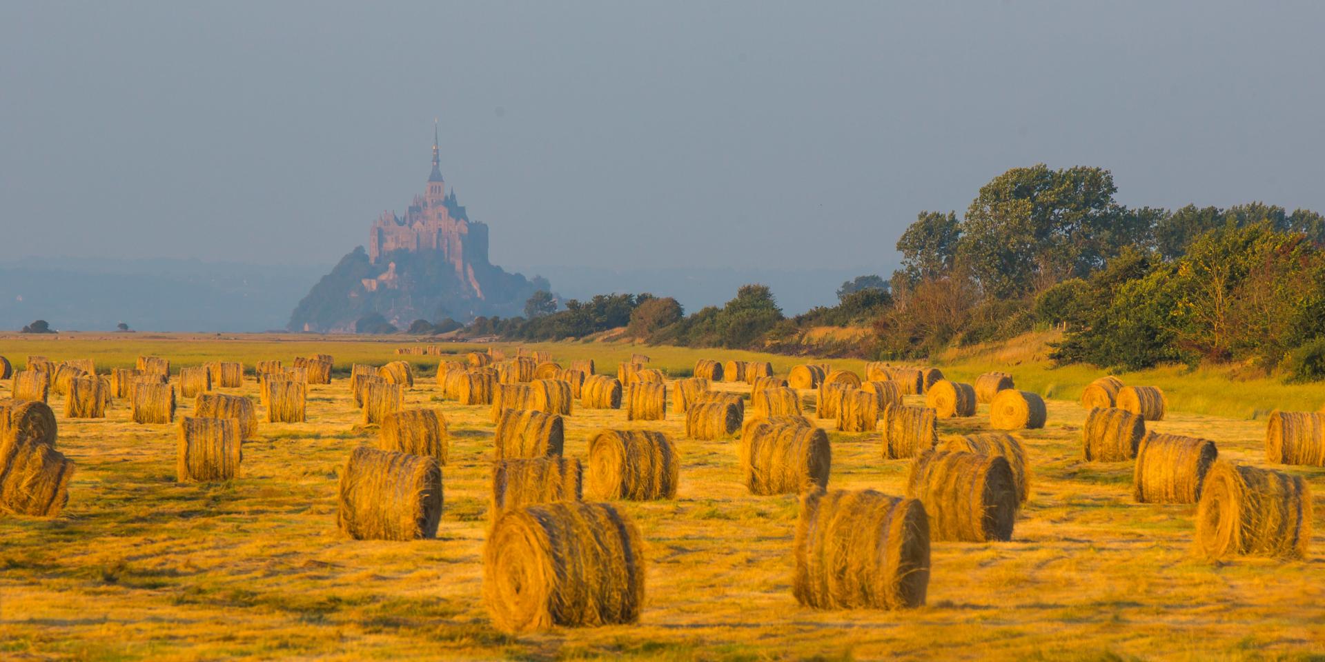 Champ Baie Du Mont Saint Michel Simon Bourcier 915