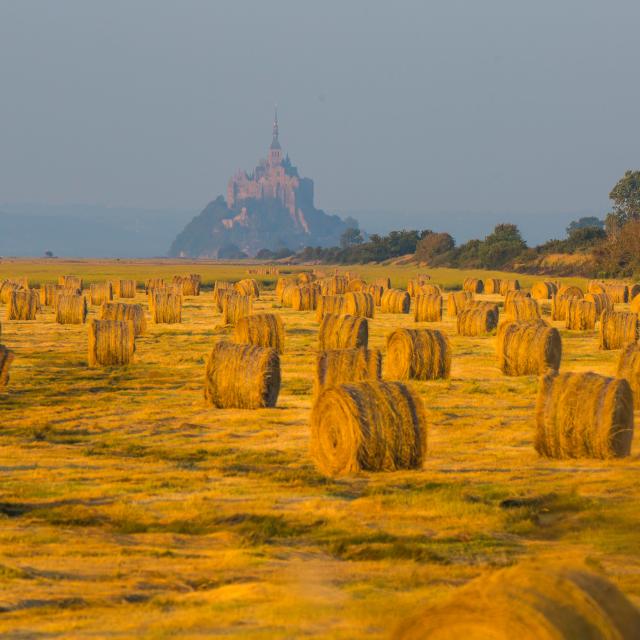 Champ Baie Du Mont Saint Michel Simon Bourcier 915