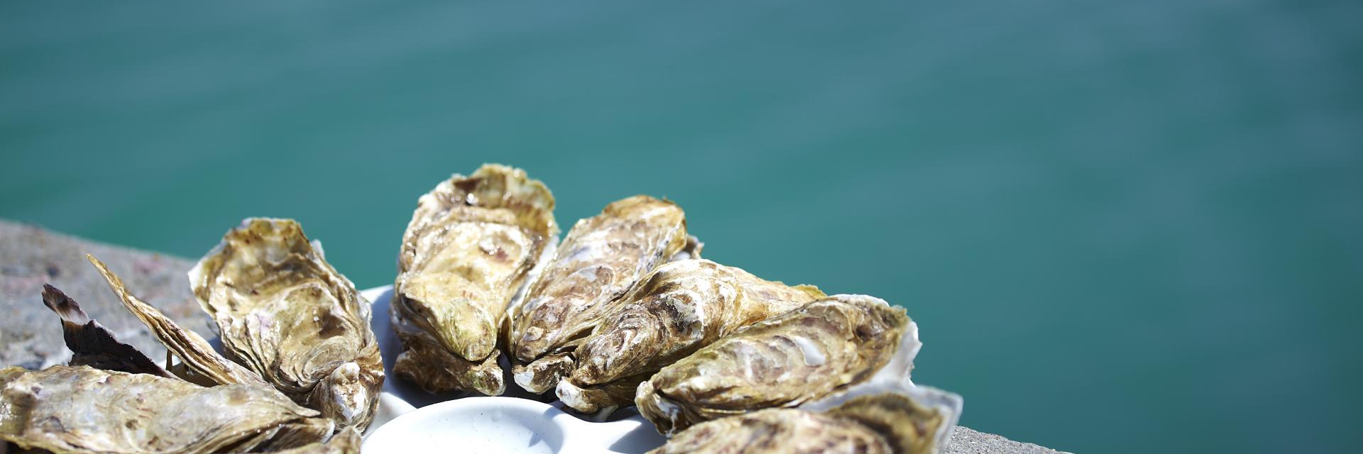 Degustation D Huitres Cancale Alexandre Lamoureux 7359