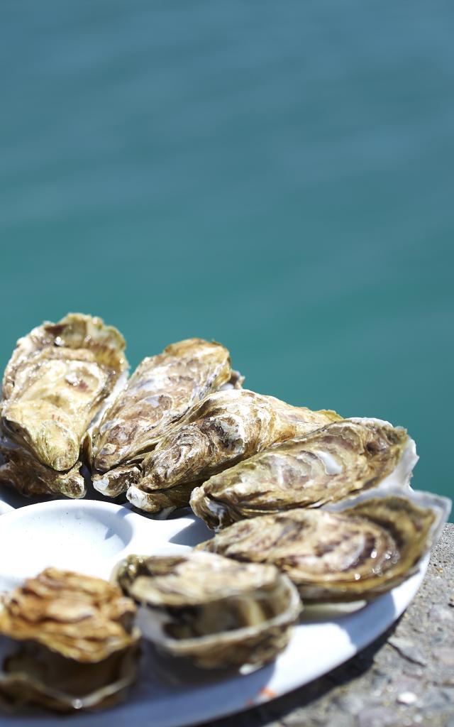 Degustation D Huitres Cancale Alexandre Lamoureux 7359