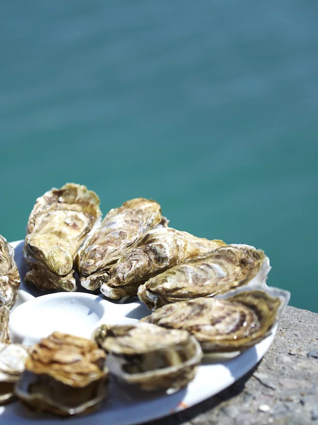 Degustation D Huitres Cancale Alexandre Lamoureux 7359