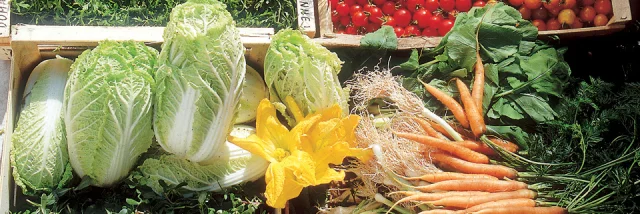 Market stall - General Bay of Mont-Saint-Michel