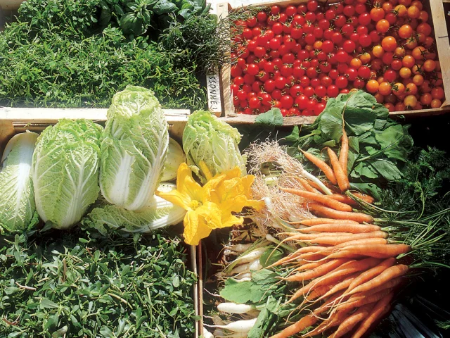 Marktstand - Allgemein Bucht von Mont-Saint-Michel