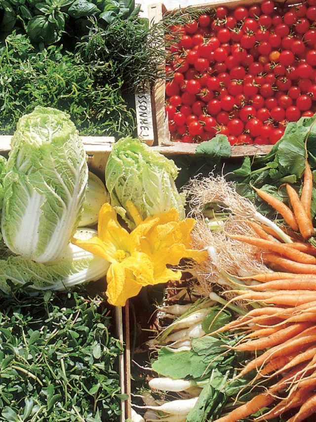 Market stall - General Bay of Mont-Saint-Michel