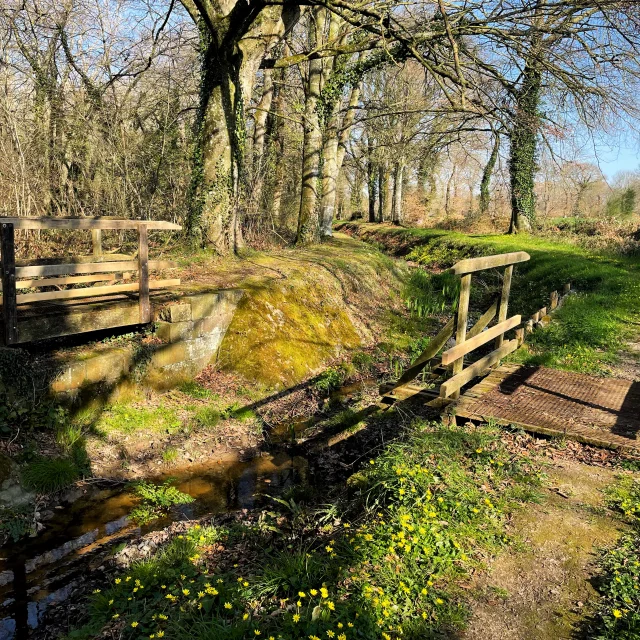 La Rigole De Boulet Dingé