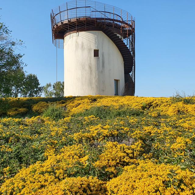 Le Belvedere Des Ondes Saint Benoit Des Ondes Smbmsm 3056
