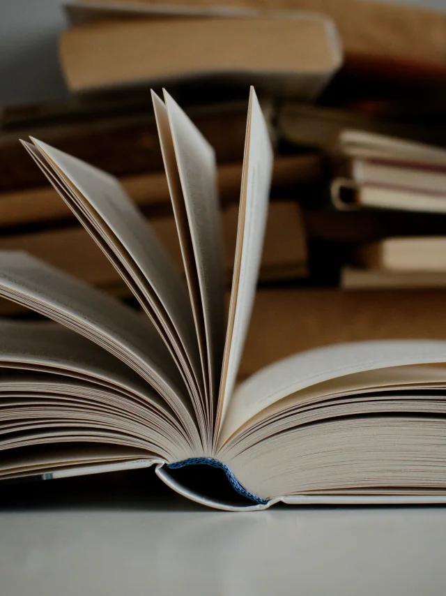 Mikolaj Lv6wqnjfnro Unsplash