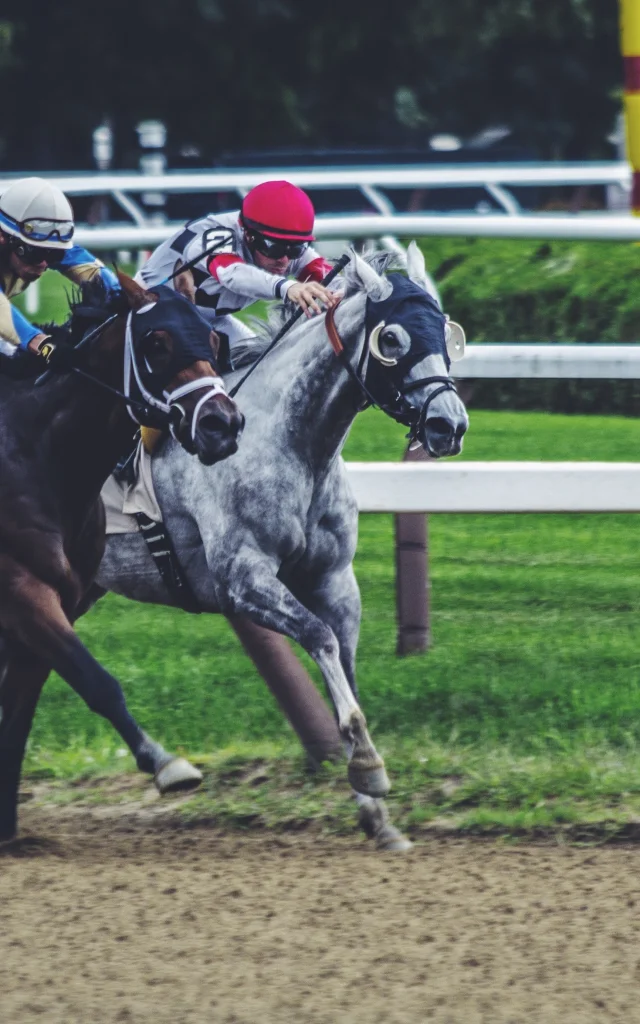 Noah Silliman 144948 Unsplash