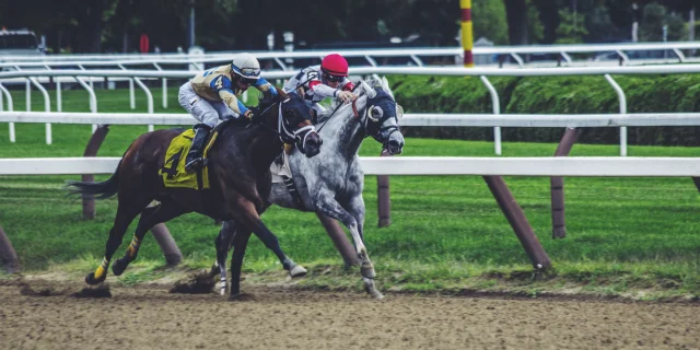 Noah Silliman 144948 Unsplash