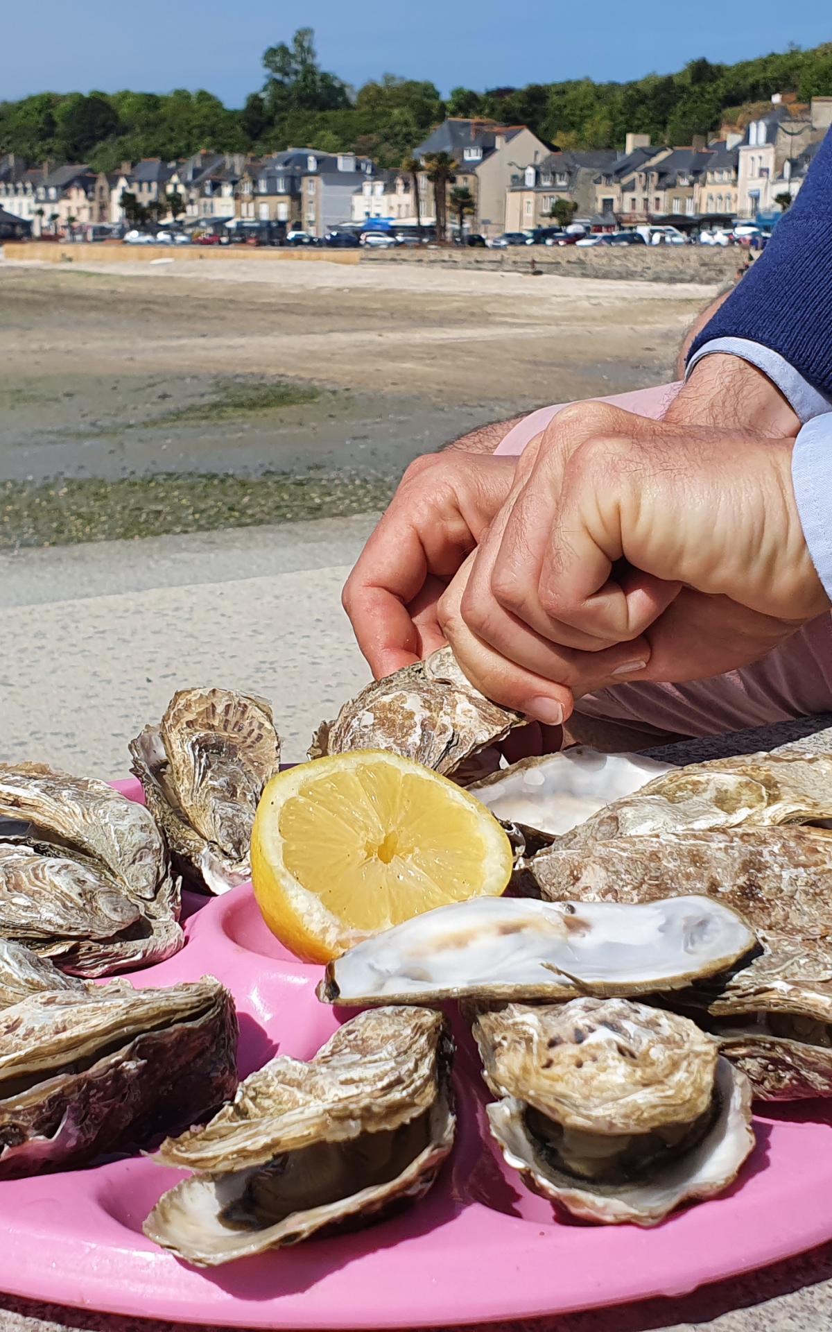 The Oysters of Cancale SaintMalo MontSaintMichel Bay Tourism