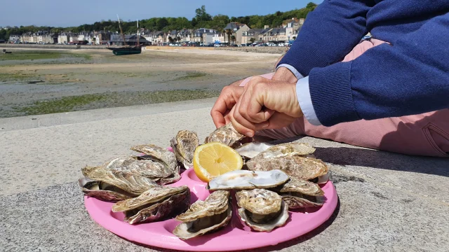 Plateau D Huitres Creuses Port De La Houle Cancale Smbmsm 2656