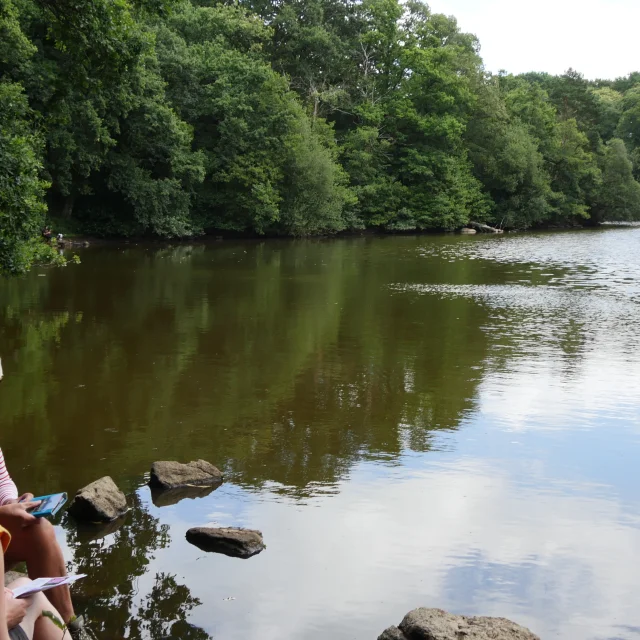 Randonneuses Trans La Foret Smbmsm 326