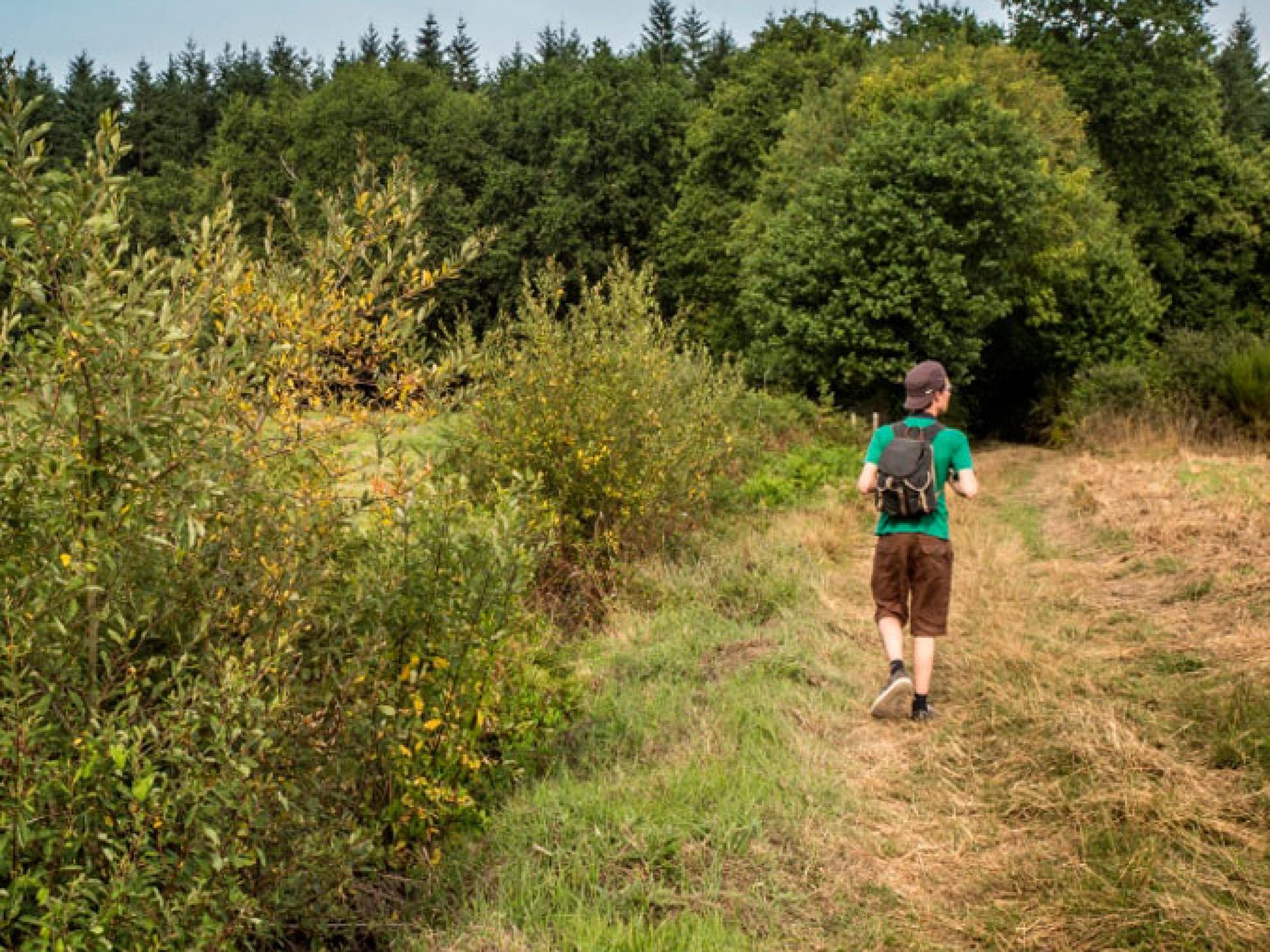 How To Import A GPX File On An Application Dedicated To Hiking Saint