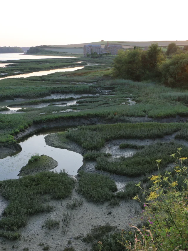 Saint Jouan Des Guerets Coucher De Soleil Sur Les Bords De Rance Smbmsm 455