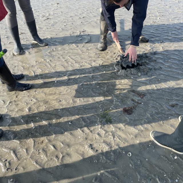 ©smbmsm Eductour Sortie Pêche à Pied Maison De La Baie (40)