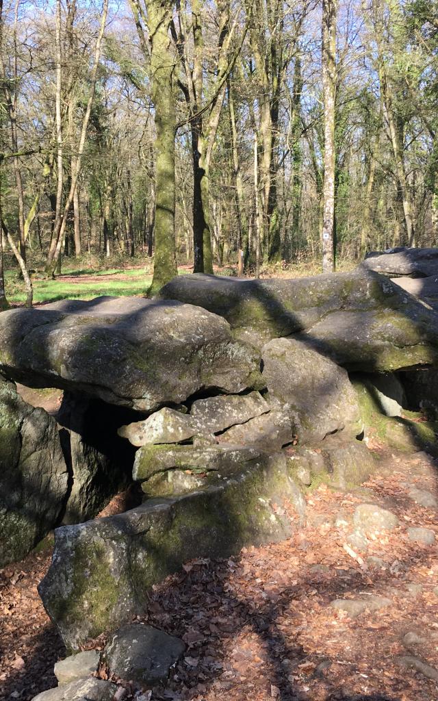 Allee_couverte_Foret_du_Mesnil_-_Le_Tronchet-SMBMSM-8291