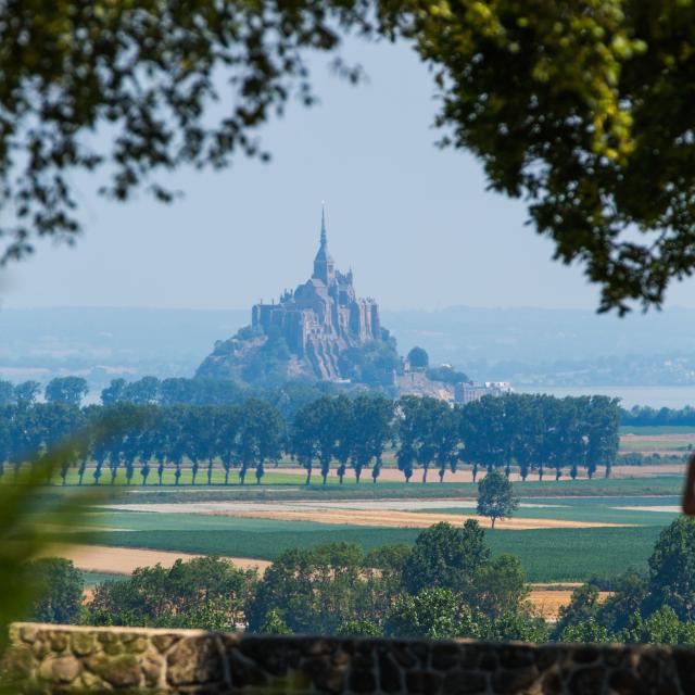 Belvedere_-_Roz-sur-Couesnon-Simon_Bourcier-851-640x640.jpg