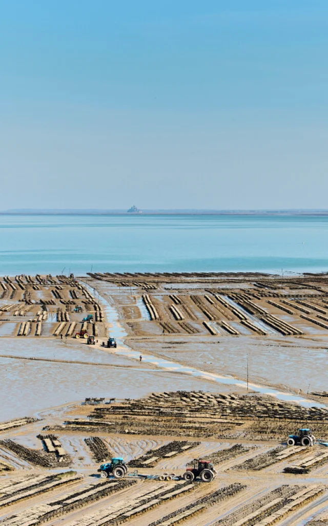 Alexandre Lamoureux - Cancale